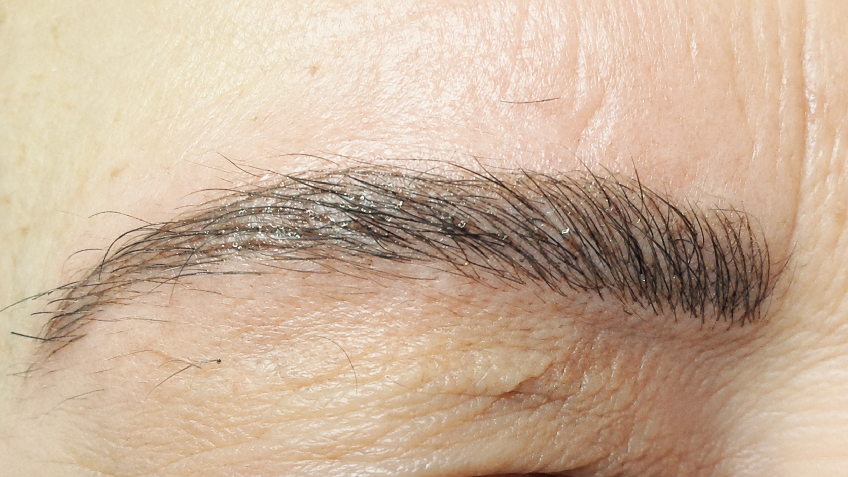 Augenbrauen mit Microblading-Härchenzeichnung aus dem Kosmetik Institut Escher in Bonn.